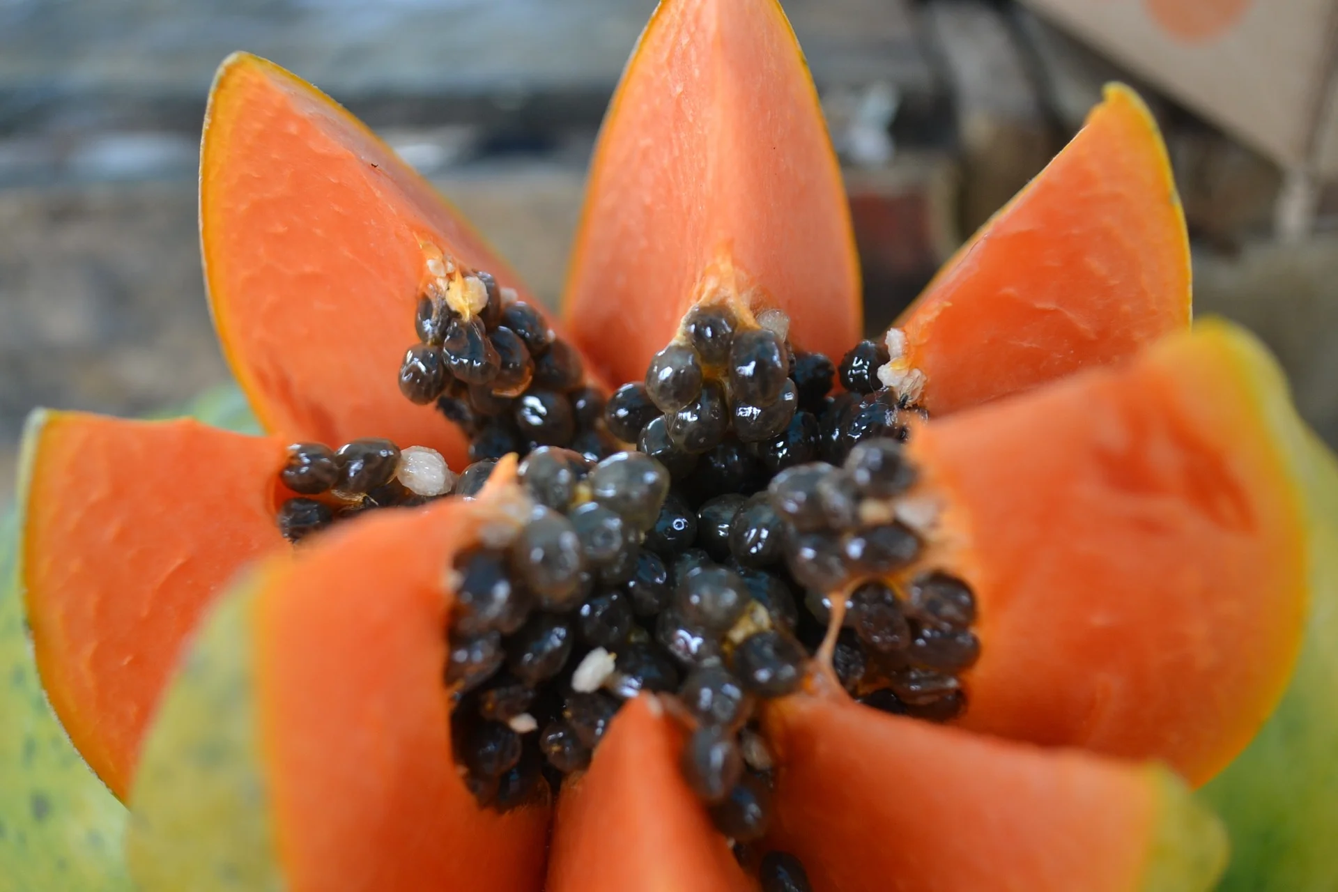 Las semillas de papayas;