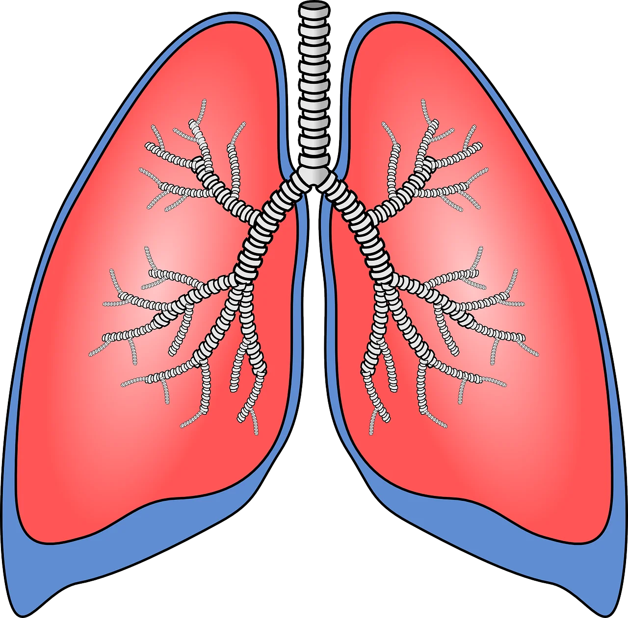 Falta de aire en los pulmones
