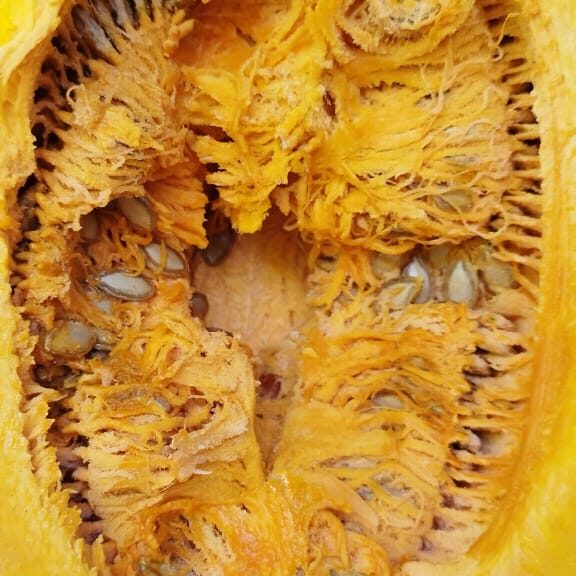 semillas de calabaza
