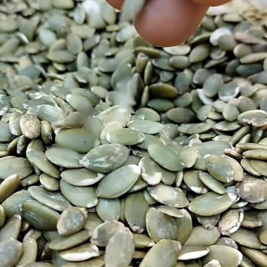 semillas de calabaza