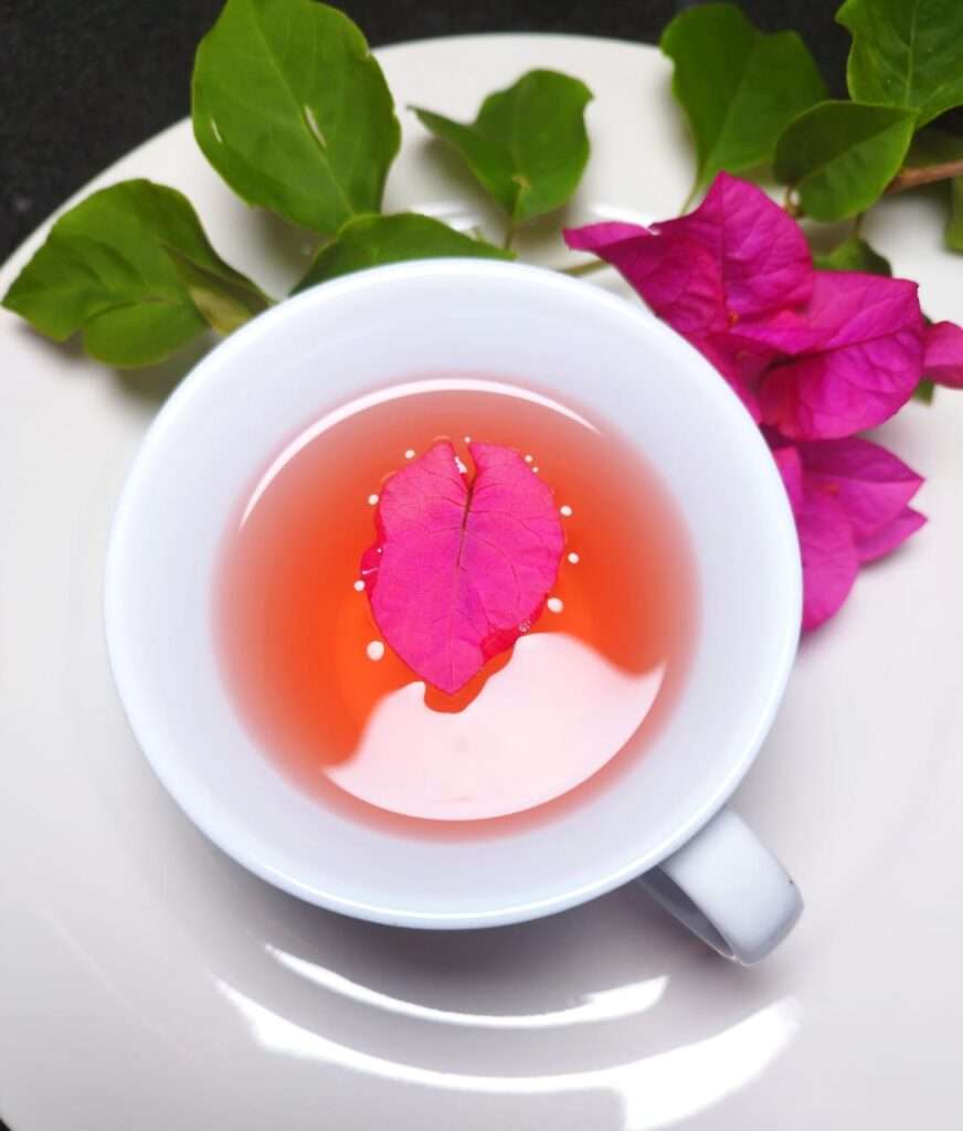 Infusión de Bugambilia y Anís Estrellado