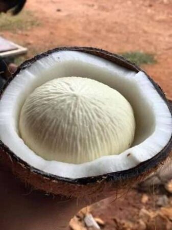 coco con manzana